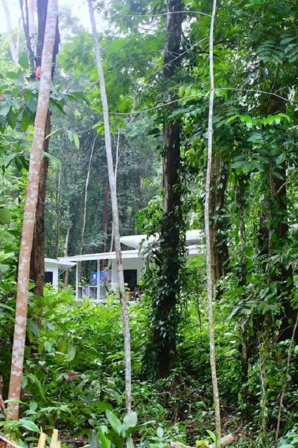 Casa Eden - Modern Peaceful Jungle Apartments Cocles Exterior foto