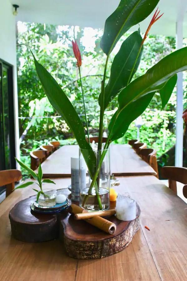 Casa Eden - Modern Peaceful Jungle Apartments Cocles Exterior foto