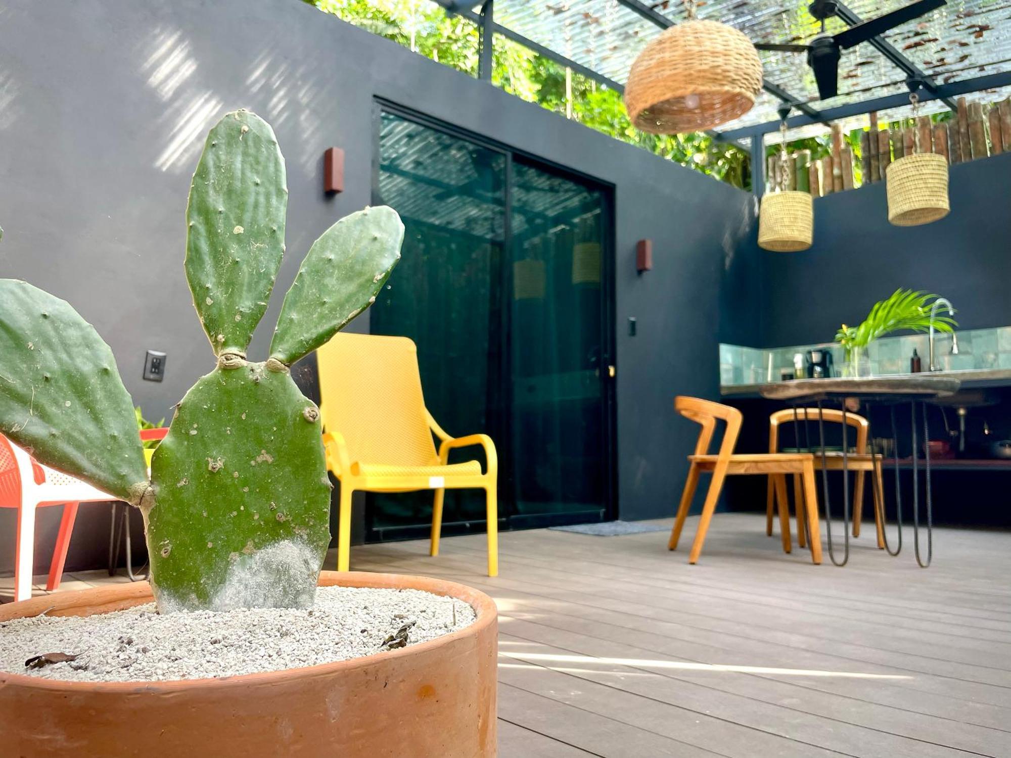 Casa Eden - Modern Peaceful Jungle Apartments Cocles Exterior foto