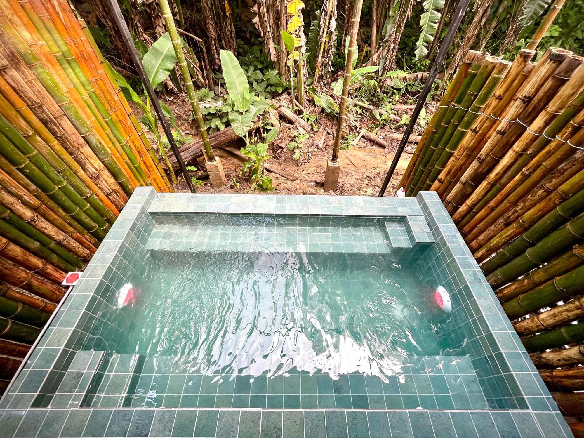 Casa Eden - Modern Peaceful Jungle Apartments Cocles Habitación foto